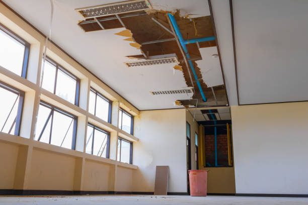 Best Emergency water damage restoration  in Williamson, WV