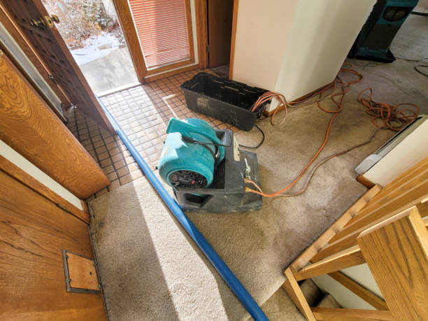 Best 24-hour water damage restoration  in Williamson, WV
