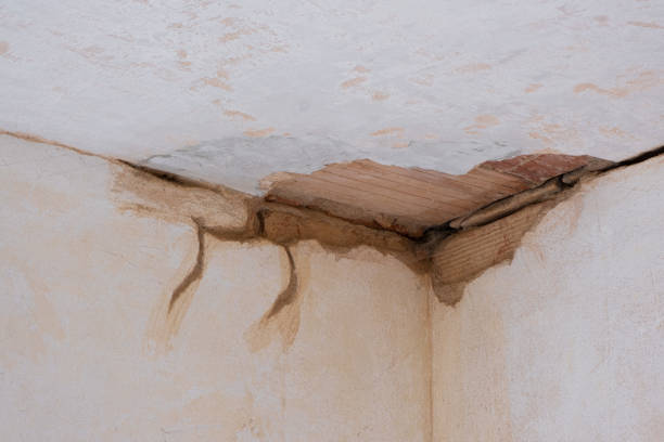 Best Commercial water damage restoration  in Williamson, WV