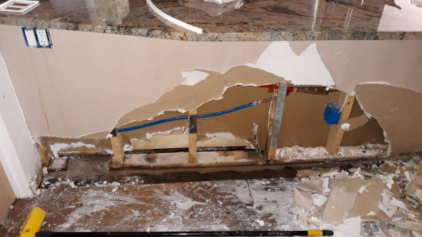Best Mold removal after water damage  in Williamson, WV