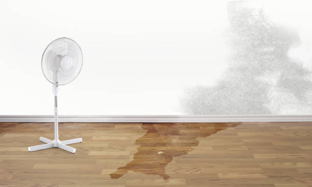 Water damage restoration insurance claims in Williamson, WV
