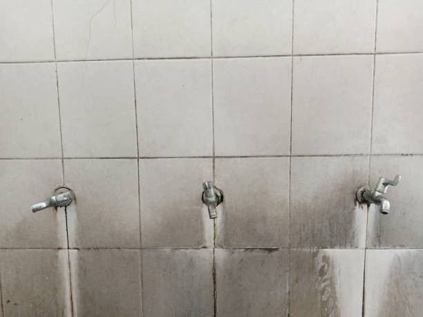 Best Flood damage cleanup  in Williamson, WV