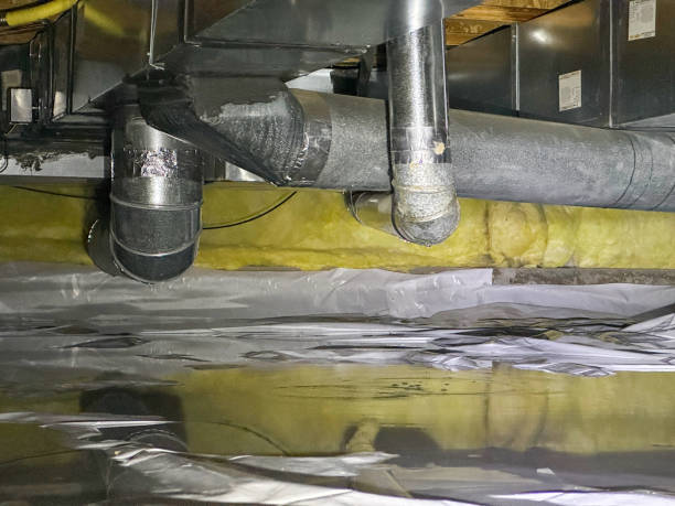 Best Water damage restoration specialists  in Williamson, WV