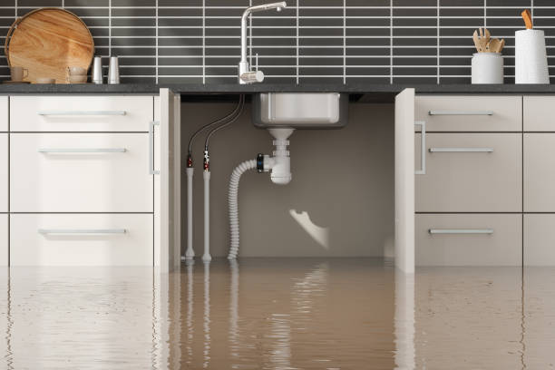 Best Flooded house restoration  in Williamson, WV