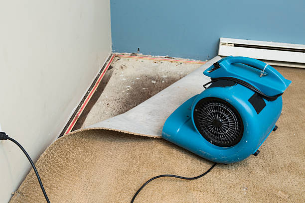 Trusted Williamson, WV Water damage restoration Experts
